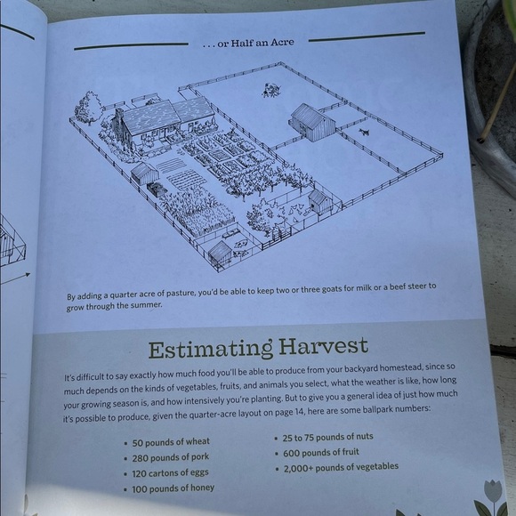 Backyard Homestead Guidebook - Picture 3 of 10